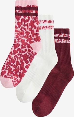 Chaussettes Next en rose : devant
