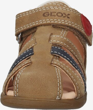 Chaussures ouvertes GEOX en marron