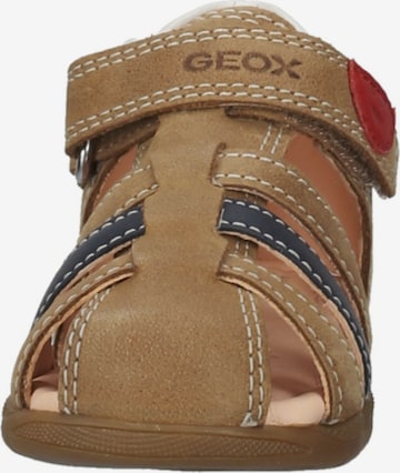 GEOX Open schoenen in Bruin