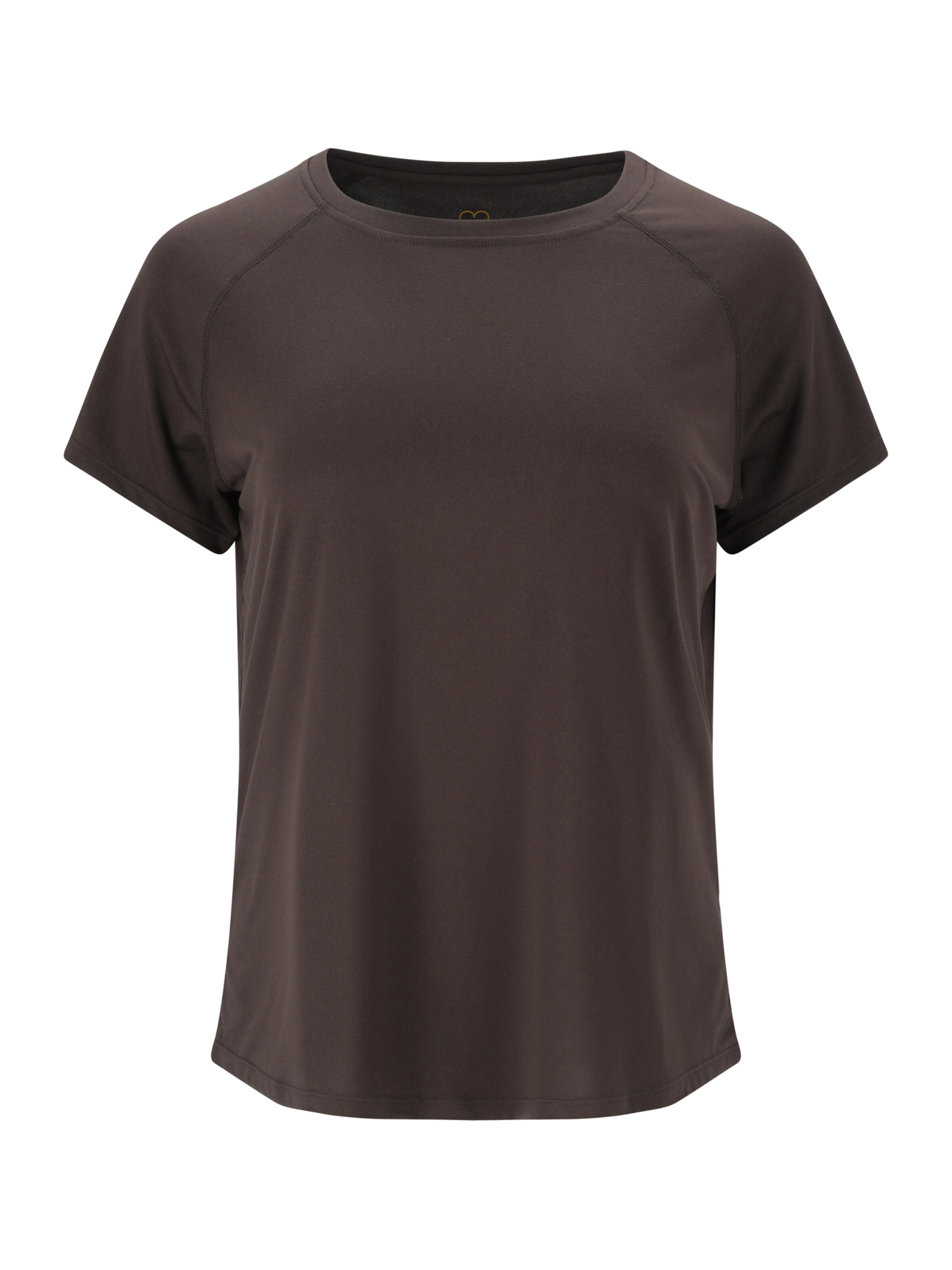 Athlecia Koszulka funkcyjna 'Gaina V2' w kolorze szary: przód