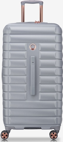 Valisette 'Shadow 5.0' Delsey Paris en gris : devant