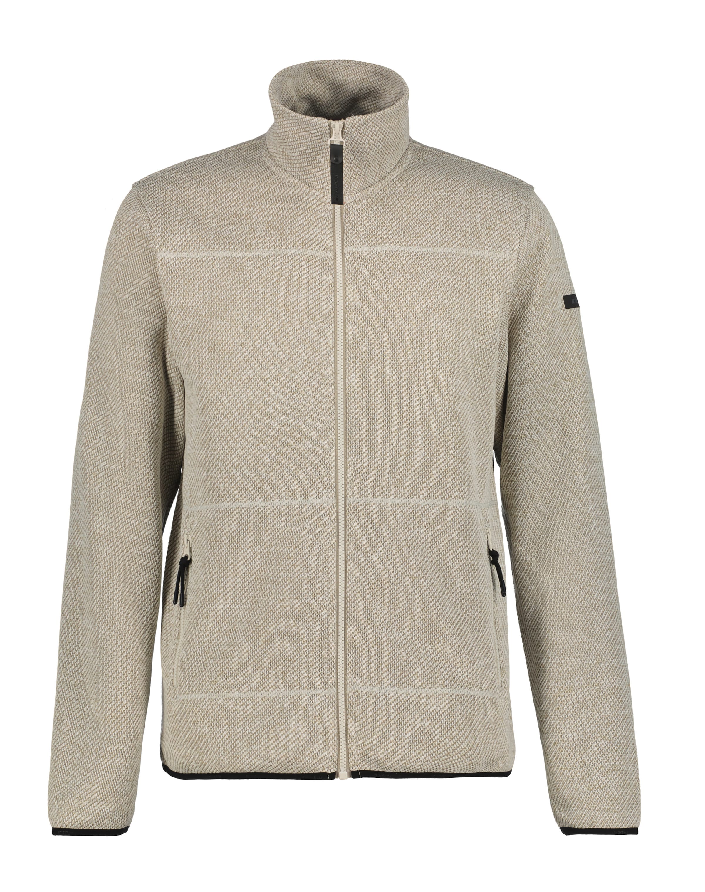 ICEPEAK Fleece Jacket 'AGEN' in Beige: front