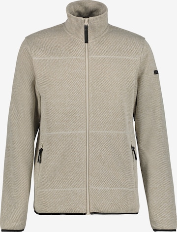 ICEPEAK Fleece Jacket 'AGEN' in Beige: front