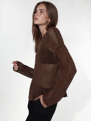 Hiccup Pullover 'Pullover'‌‌‌‌ in Braun