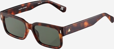 Aire Aurinkolasit 'CASTOR' värissä ruskea / tummanruskea, Tuotenäkymä