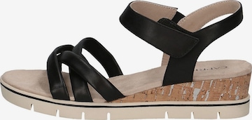 CAPRICE Strap Sandals in Black