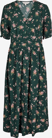 Robe Apricot en vert : devant