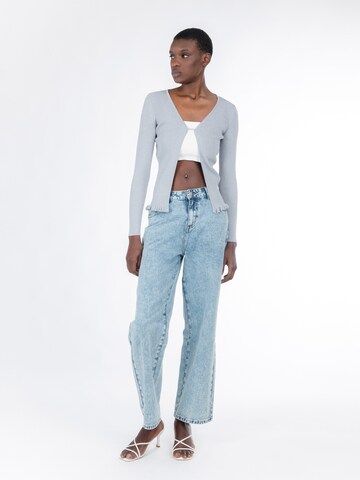 sidabrinė Influencer Kardiganas