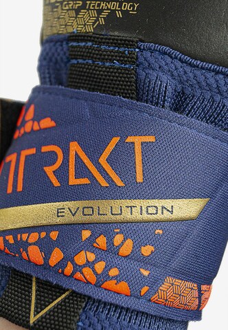 REUSCH Sporthandschoenen 'Attrakt Gold X Evolution' in Blauw