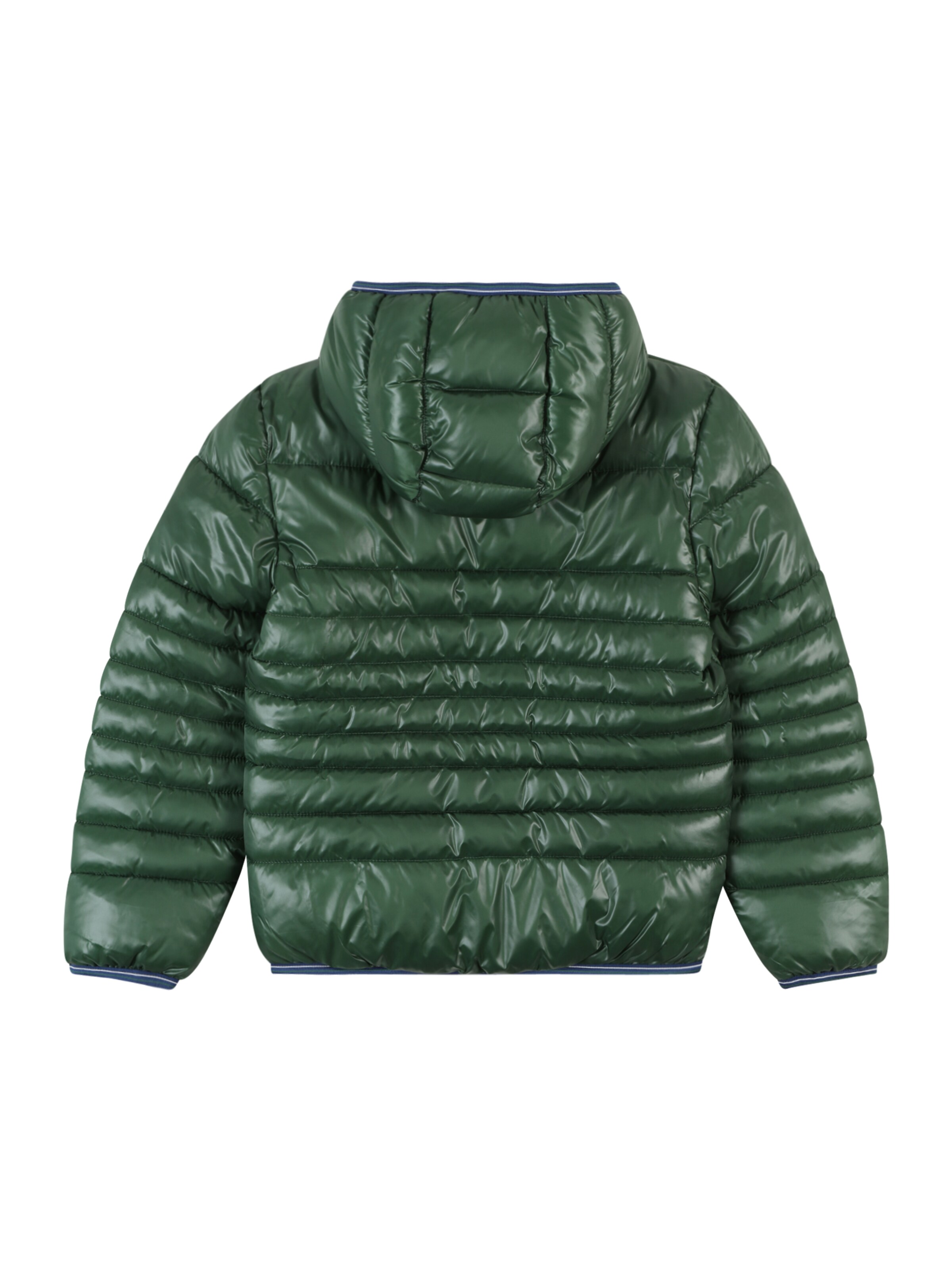 Levi's Kids Winter Jacket in Green