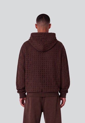Colucci Sweatshirt 'College' in Bruin
