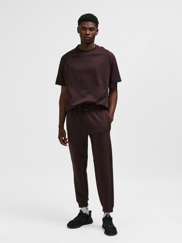 Hummel Tapered Sports trousers in Brown: front