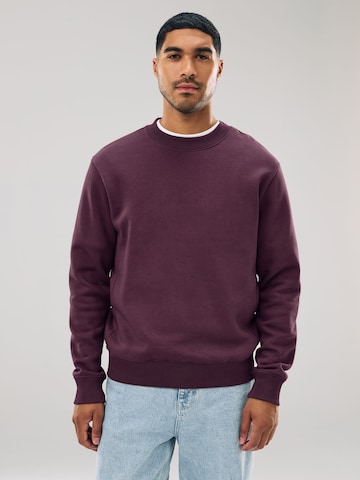 Next Sweatshirt in Rot: Vorderseite