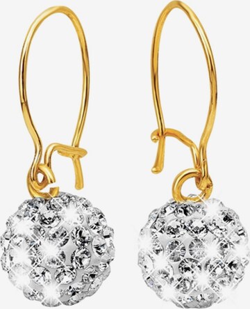 Lucardi Earrings in Gold: front