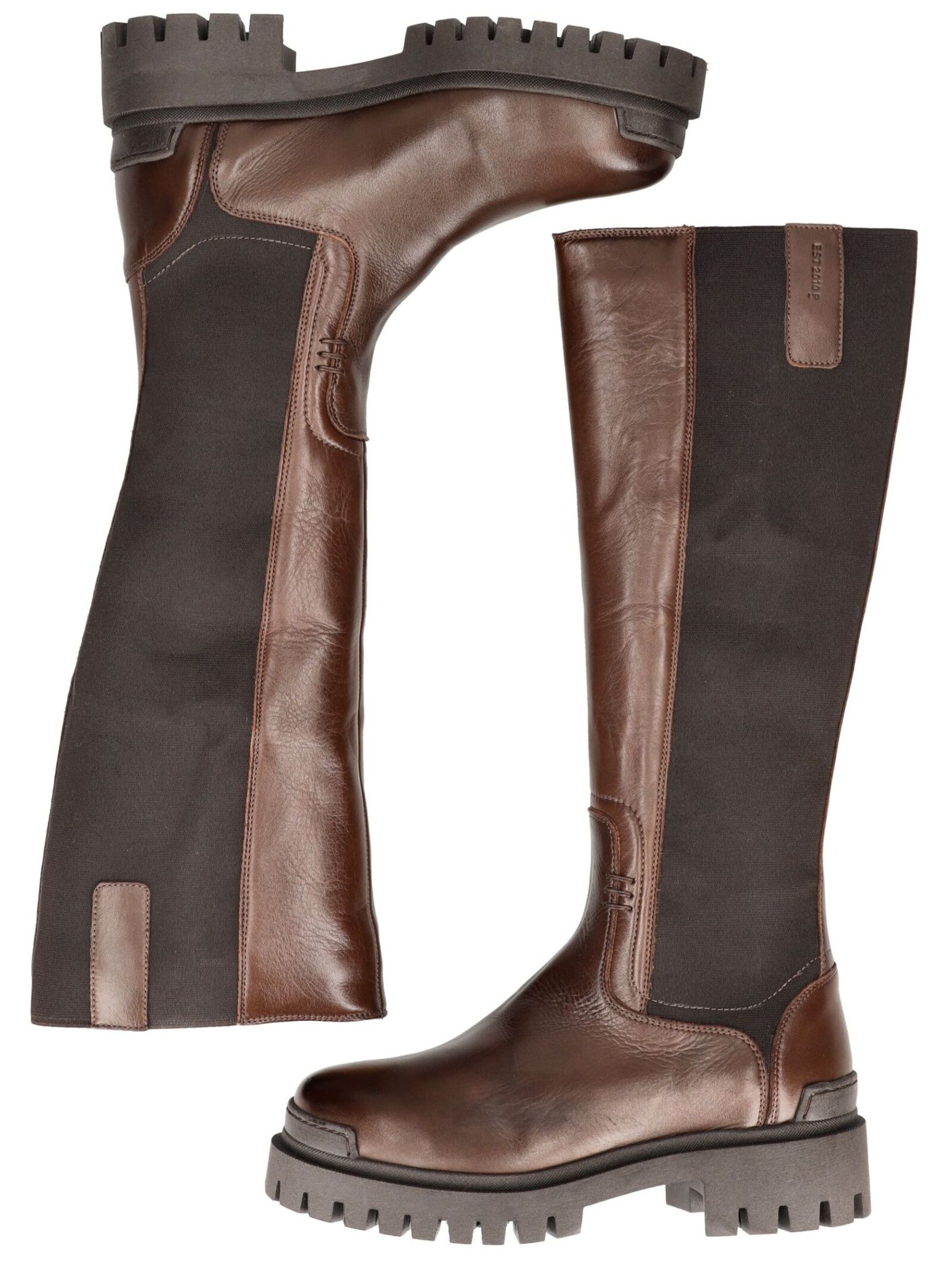 PAVEMENT Boots in Brown