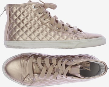 GEOX Sneakers & Trainers in 40 in Gold: front