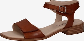 CAPRICE Sandals in Brown: front