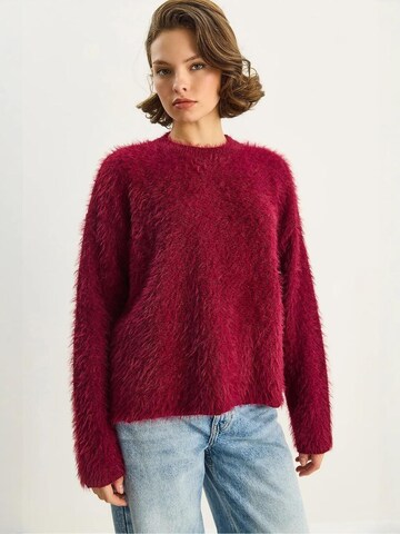 Bianco Lucci Pullover in Rot