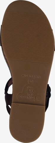 COSMOS COMFORT Sandals in Brown