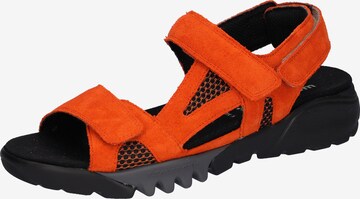 WALDLÄUFER Hiking Sandals in Orange: front