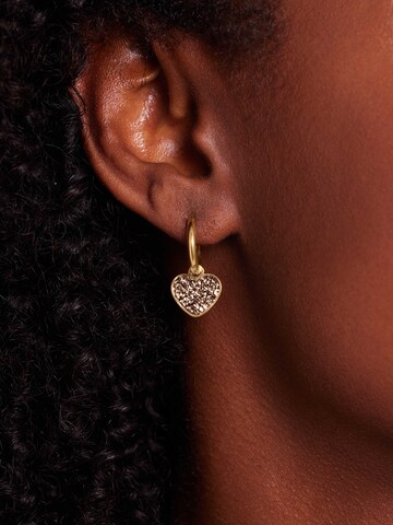 Boucles d'oreilles Lucardi en or : devant