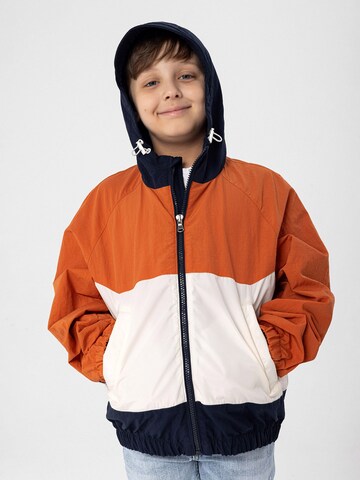 Veste mi-saison Daniel Hills en mélange de couleurs : devant