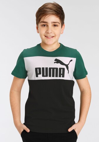 PUMA Shirt 'Essentials+' in Green: front