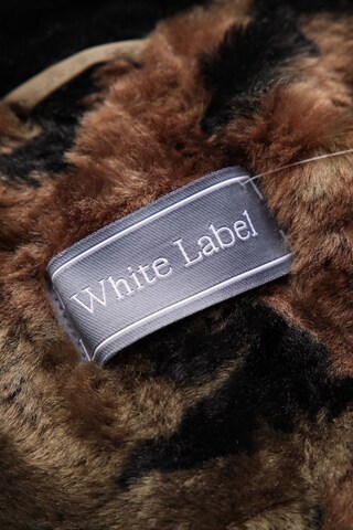 White Label Jacket & Coat in XXL in Green