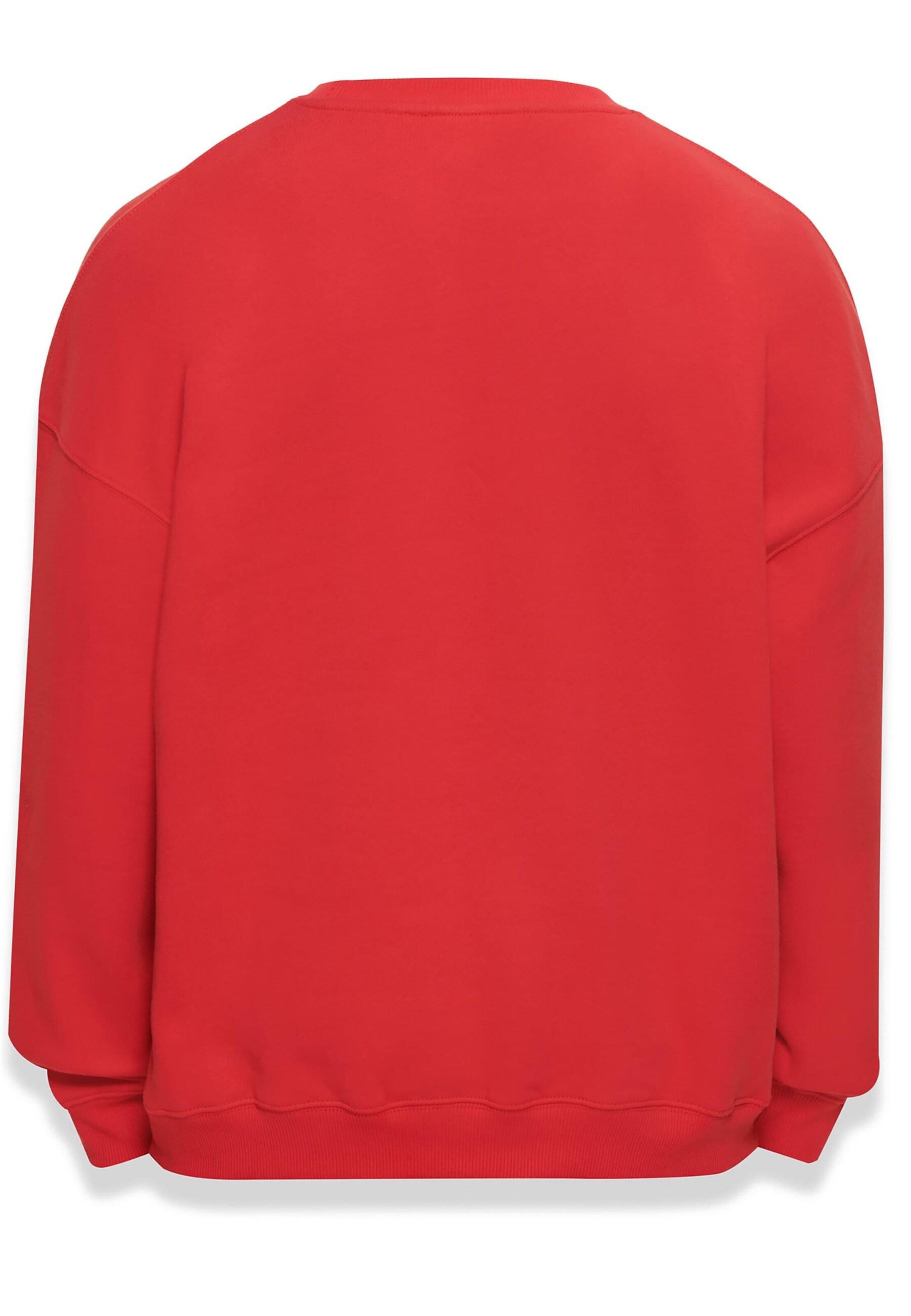 Dropsize Sweatshirt 'Bazix Republiq' i rød