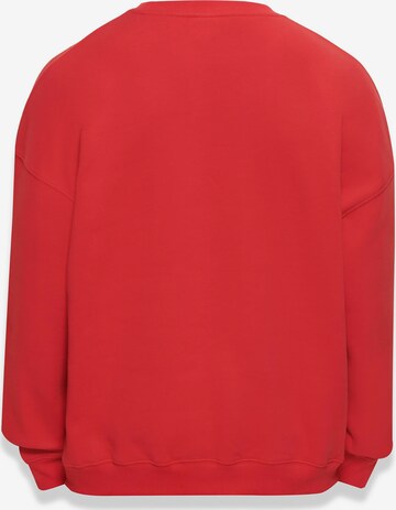 Dropsize Sweatshirt 'Bazix Republiq' in Rood