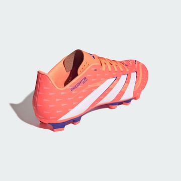 ADIDAS PERFORMANCE Voetbalschoen 'Predator Club' in Oranje