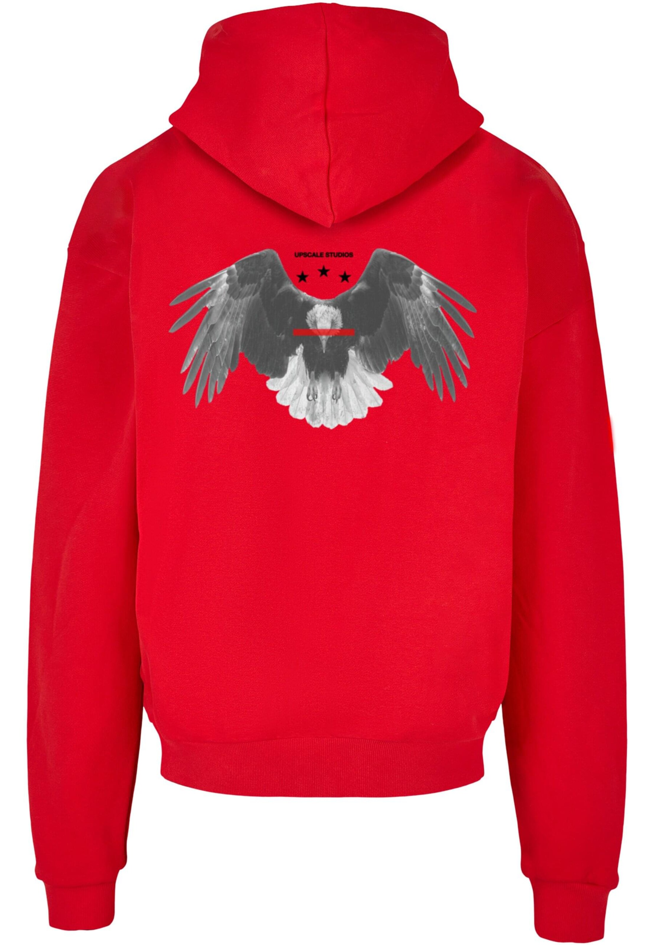 MT Upscale Sweatshirt 'Sick Eagle' in Red