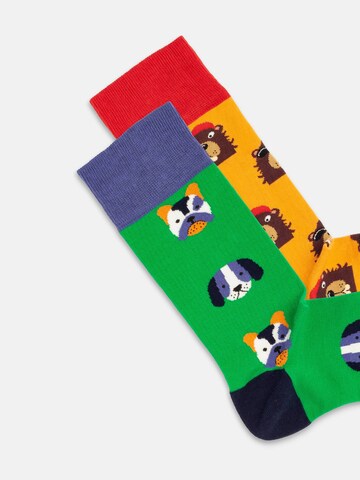DillySocks Socks 'Dog vs Biever' in Mixed colors