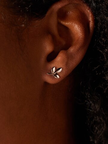 Lucardi Earrings in Silver: front