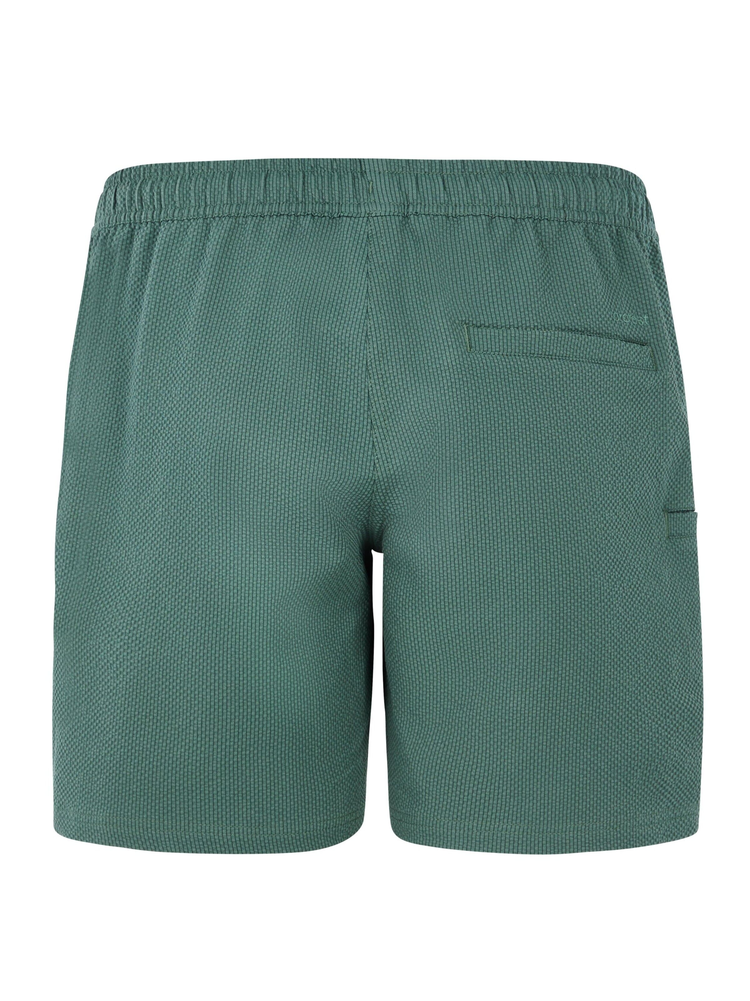 PROTEST Swimming Trunks 'PRTAgaat 25' in Green