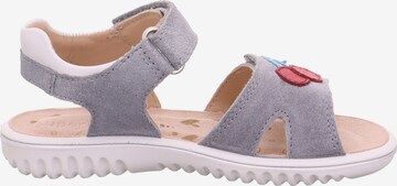 SUPERFIT - Sandalias 'Sparkle' en gris