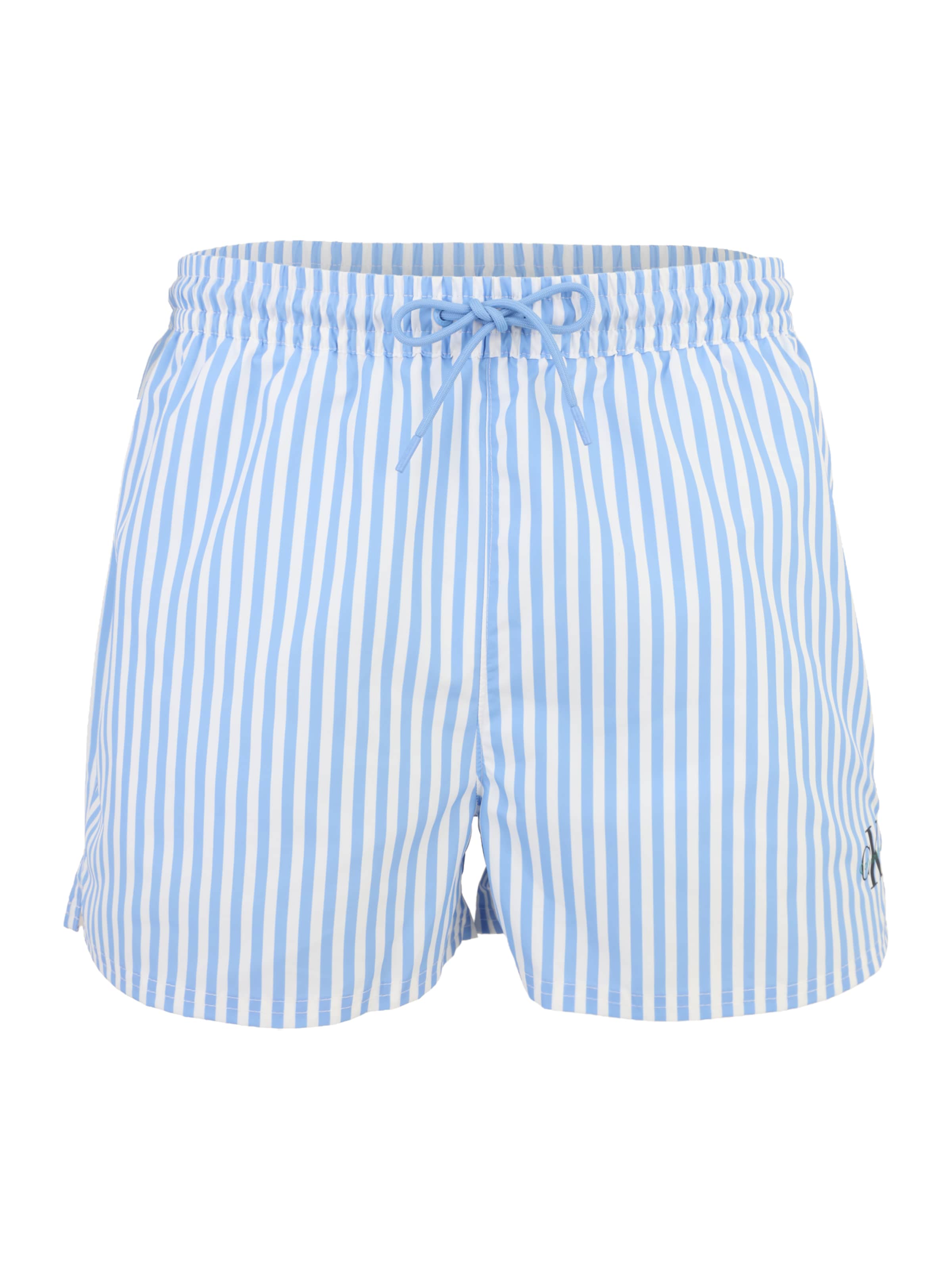 Calvin Klein Swimwear Плавательные шорты в Синий: спереди