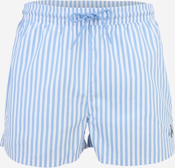 Calvin Klein Swimwear Плавательные шорты в Синий: спереди