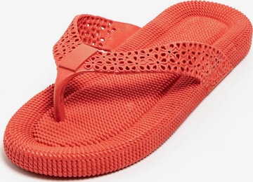 Brasileras T-Bar Sandals 'Flopee' in Red: front