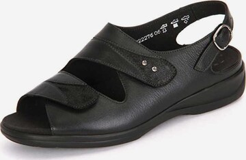 SOLIDUS Sandals in Black: front