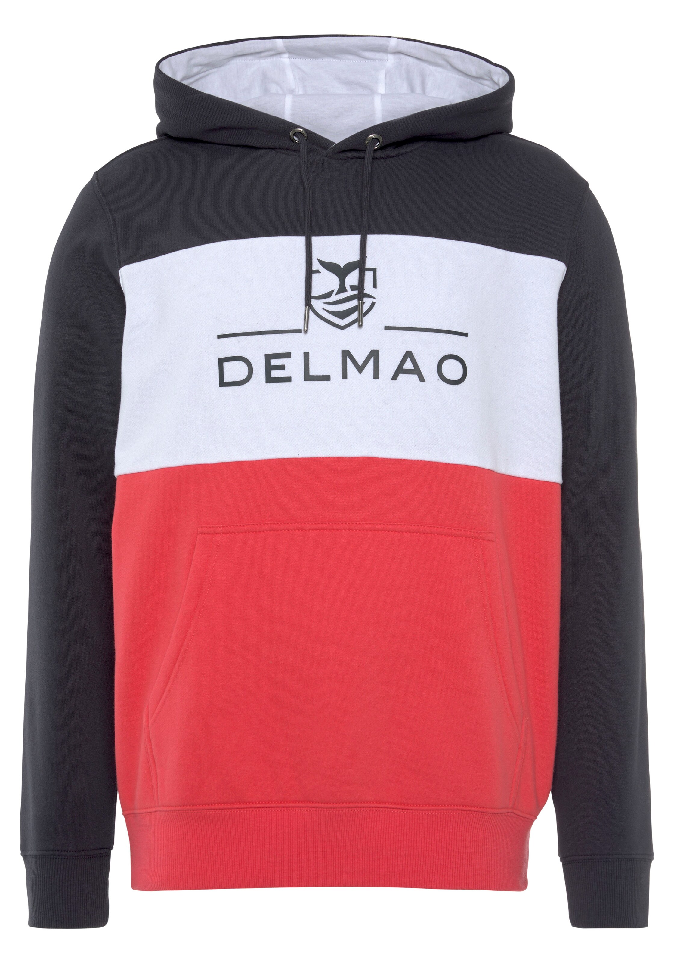 DELMAO Sweatshirt in Blue: front