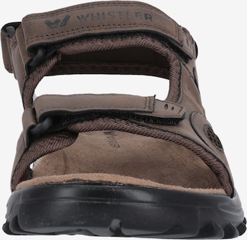 Whistler Sandals 'Hornsin' in Brown