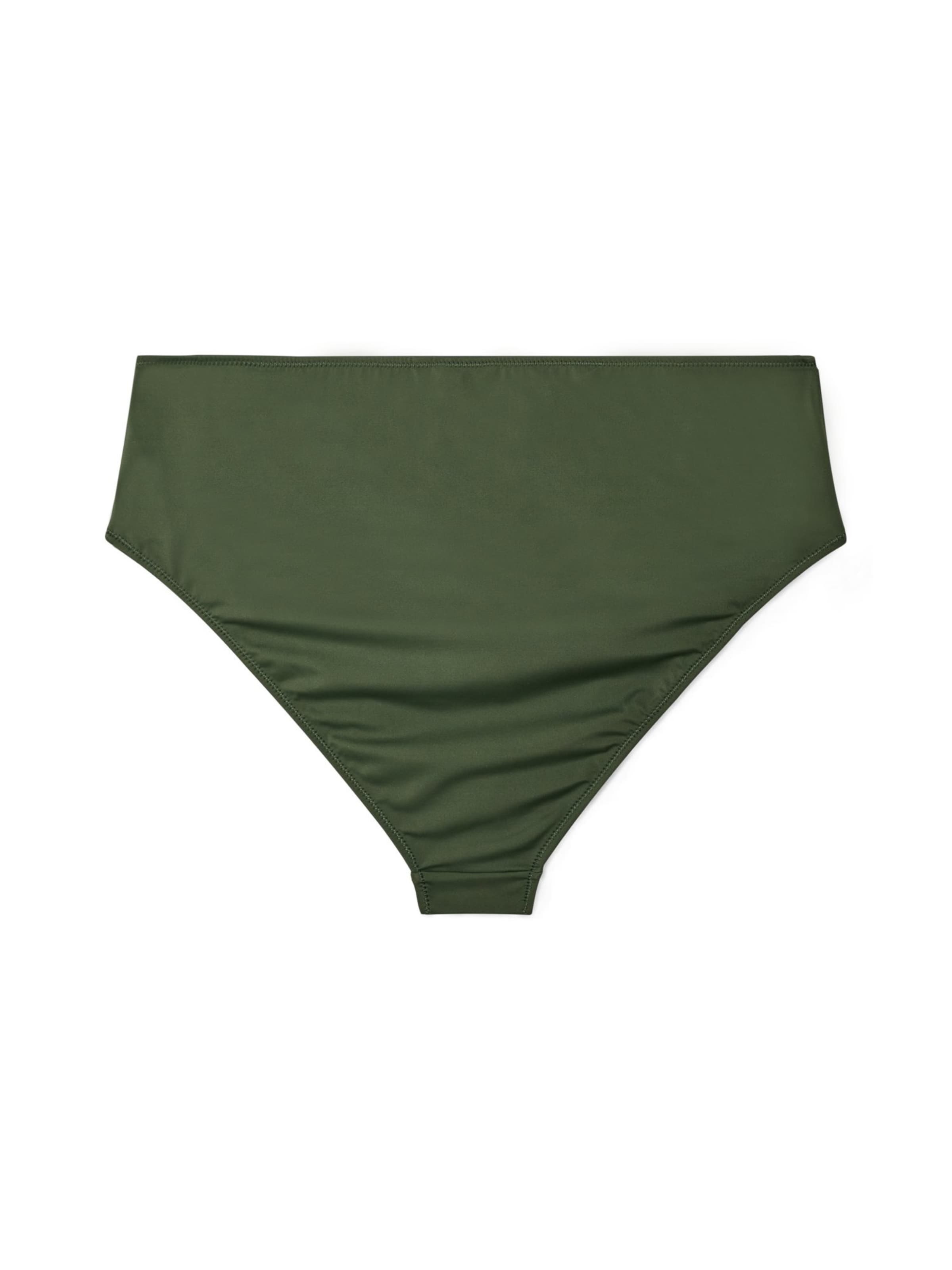 zaļš Swim by Zizzi Bikini apakšdaļa 'Bliss'