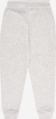 SALT AND PEPPER Tapered Pants in Grey