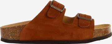 Mule Plakton en rose : devant