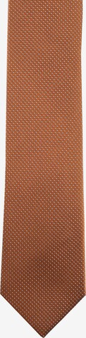 ROY ROBSON Tie in Brown: front