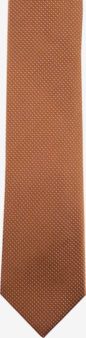 ROY ROBSON Tie in Brown: front