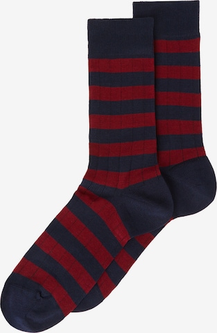 CALZEDONIA Socks in Blue: front