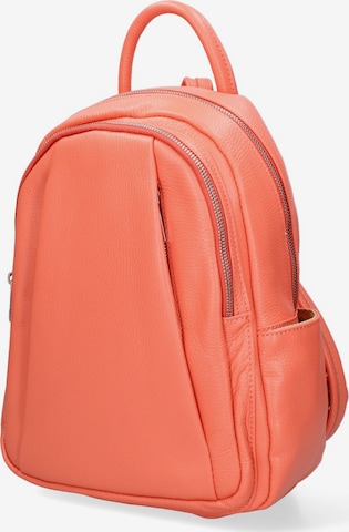 Gave Lux Rucksack in Orange: Vorderseite