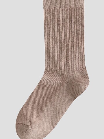 Chaussettes Next en mélange de couleurs